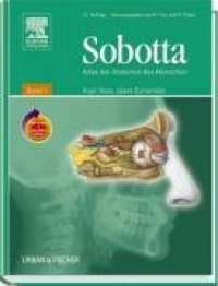 cover of the book Sobotta - Atlas der Anatomie des Menschen, Band 1: Kopf, Hals, Obere Extremität