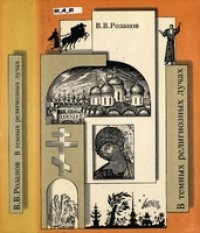 cover of the book В темных религиозных лучах