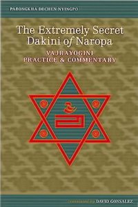 cover of the book The Extremely Secret Dakini of Naropa