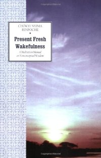 cover of the book Present Fresh Wakefulness: A Meditation Manual on Nonconceptual Wisdom