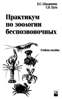 cover of the book Практикум по зоологии беспозвоночных.