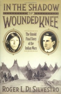 cover of the book In The Shadow of Wounded Knee: The Untold Final Chapter of the Indian Wars