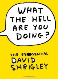 cover of the book What the Hell Are You Doing?: The Essential David Shrigley