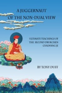 cover of the book A Juggernaut of the Non-Dual View