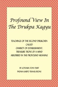 cover of the book Profound View in the Drukpa Kagyu