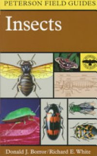 cover of the book A Field Guide to Insects: America North of Mexico