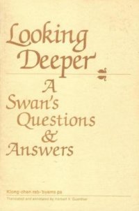 cover of the book Looking Deeper: A Swan's Questions and Answers