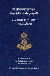 cover of the book Calling the Guru from Afar