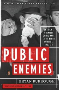 cover of the book Public enemies : America's greatest crime wave and the birth of the FBI, 1933-34