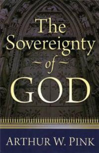 cover of the book The sovereignty of God