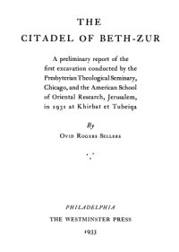 cover of the book The Citadel of Beth Zur