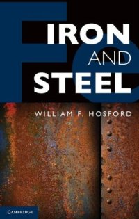 cover of the book Iron and steel