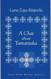 cover of the book A Chat About Yamantaka