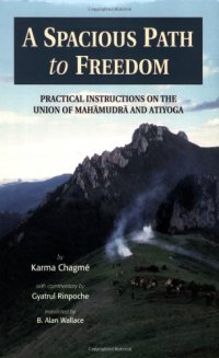 cover of the book A Spacious Path to Freedom: Practical Instructions on the Union of Mahamudra and Atiyoga