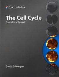 cover of the book The cell cycle : principles of control