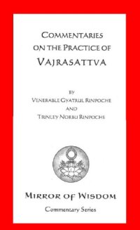 cover of the book Commentaries on the Practice of Vajrasattva