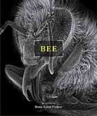 cover of the book Bee