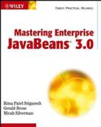 cover of the book Mastering enterprise JavaBeans 3.0