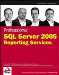 cover of the book Professional SQL Server 2005 reporting services