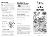 cover of the book Edible flowers