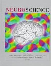 cover of the book Neuroscience