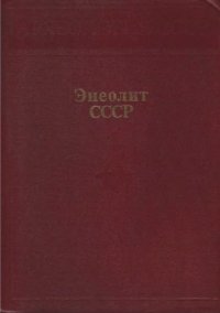 cover of the book Энеолит СССР