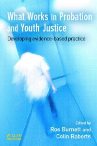 cover of the book What Works in Probation and Youth Justice : Developing Evidence Based Practice