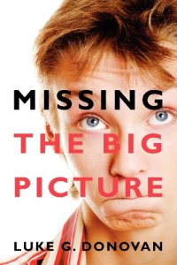 cover of the book Missing the Big Picture