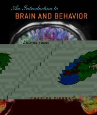 cover of the book An Introduction to Brain and Behavior