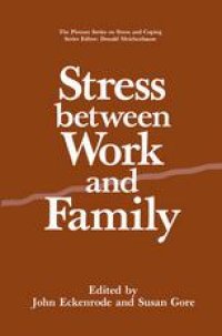 cover of the book Stress Between Work and Family