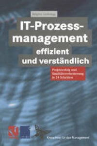 cover of the book IT-Prozessmanagement effizient und verständlich: Projekterfolg und Qualitätsverbesserung in 24 Schritten