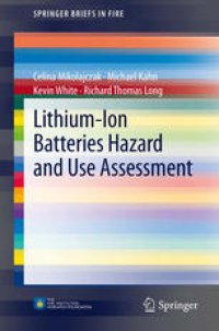 cover of the book Lithium-Ion Batteries Hazard and Use Assessment