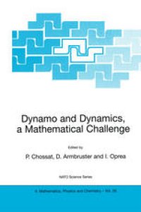 cover of the book Dynamo and Dynamics, a Mathematical Challenge