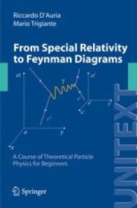 cover of the book From Special Relativity to Feynman Diagrams: A Course of Theoretical Particle Physics for Beginners