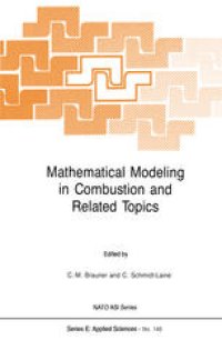 cover of the book Mathematical Modeling in Combustion and Related Topics