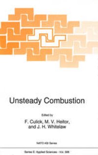 cover of the book Unsteady Combustion