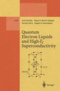 cover of the book Quantum Electron Liquids and High-T  c  Superconductivity