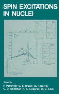 cover of the book Spin Excitations in Nuclei