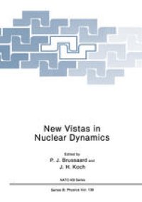 cover of the book New Vistas in Nuclear Dynamics