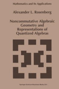 cover of the book Noncommutative Algebraic Geometry and Representations of Quantized Algebras