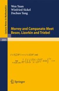 cover of the book Morrey and Campanato Meet Besov, Lizorkin and Triebel