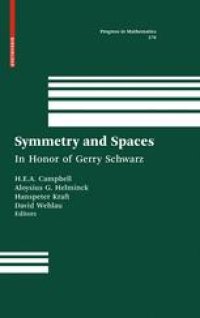 cover of the book Symmetry and Spaces: In Honor of Gerry Schwarz