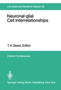 cover of the book Neuronal-glial Cell Interrelationships: Report of the Dahlem Workshop on Neuronal-glial Cell Interrelationships: Ontogeny, Maintenance, Injury, Repair, Berlin 1980, November 30 – December 5