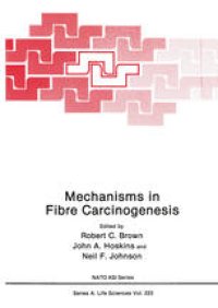 cover of the book Mechanisms in Fibre Carcinogenesis