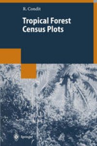 cover of the book Tropical Forest Census Plots: Methods and Results from Barro Colorado Island, Panama and a Comparison with Other Plots