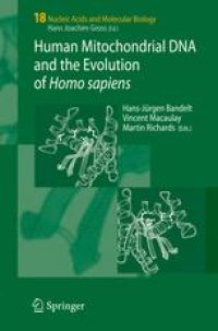 cover of the book Human Mitochondrial DNA and the Evolution of Homo sapiens