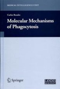 cover of the book Molecular Mechanisms of Phagocytosis