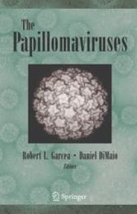 cover of the book The Papillomaviruses