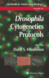 cover of the book Drosophila Cytogenetics Protocols