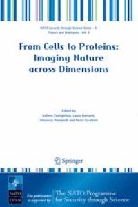 cover of the book From Cells to Proteins: Imaging Nature across Dimensions: Proceedings of the NATO Advanced Study Institute on From Cells to Proteins: Imaging Nature across Dimensions Pisa, Italy 12–23 September 2004